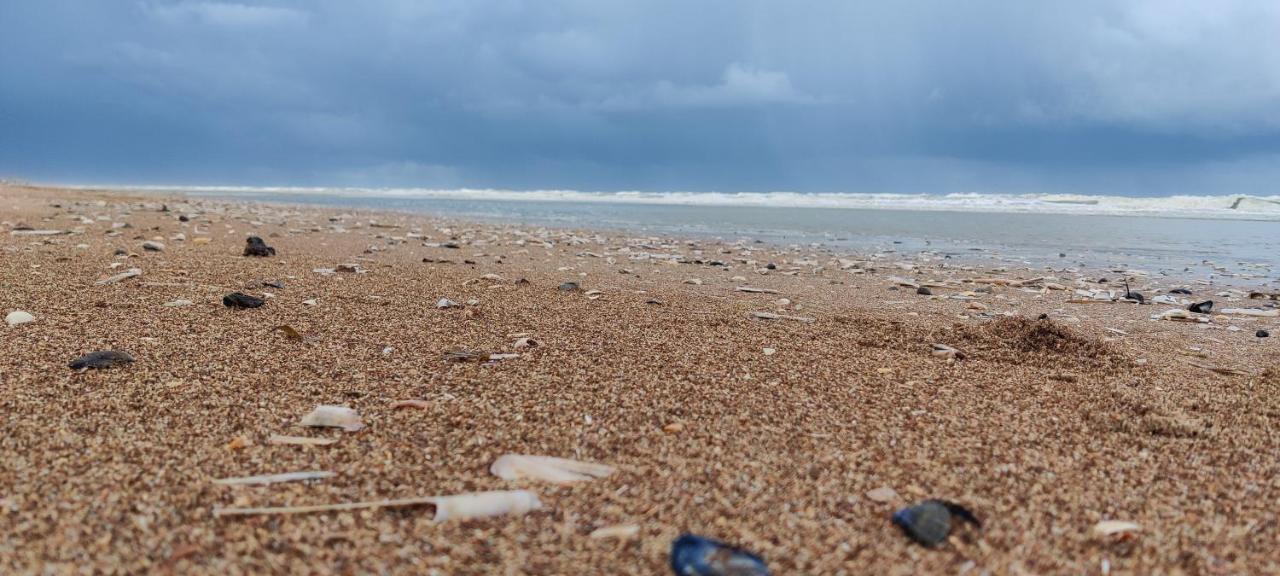 Le Zandkreek Plage & Centre - 2 Ch Koksijde Eksteriør billede